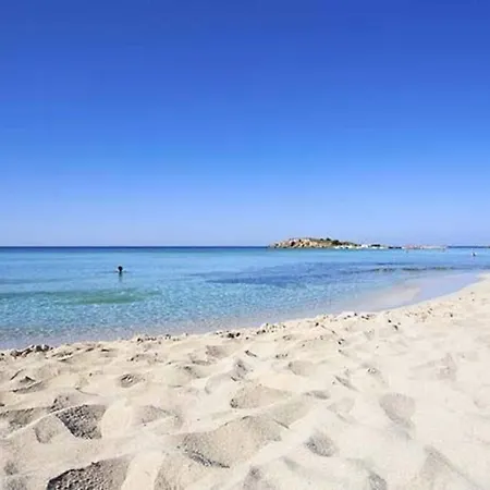 Nissi Golden Sands Free Wifi Apartman Ajía Nápa