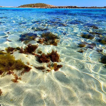 Apartamento Nissi Golden Sands Free Wifi Ayia Napa