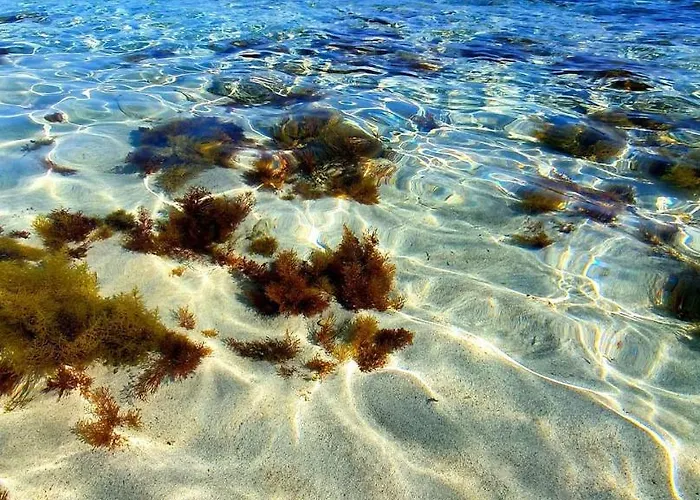 Lejlighed Nissi Golden Sands Free Wifi Ayia Napa